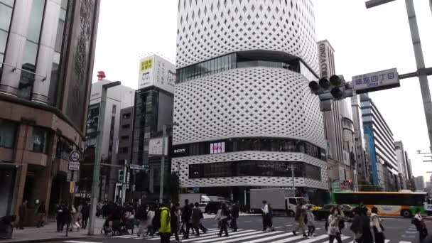 November 2022 Tokyo Japan Ginza Luxury Shopping Mall District Landmark — 图库视频影像