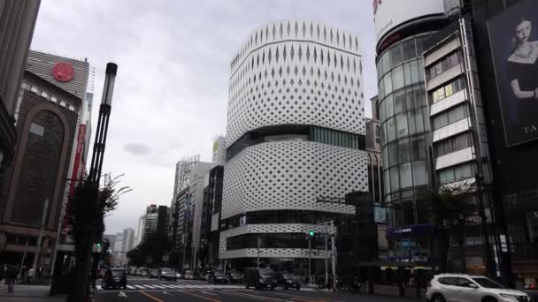 November 2022 Tokyo Japan Ginza Luxury Shopping Mall District Landmark — Stockvideo