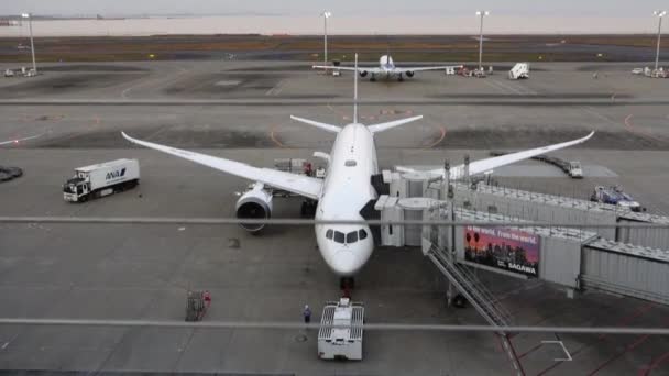 November 2022 Tokyo Japan Haneda Airport Passenger Plane Ready Take — Vídeos de Stock