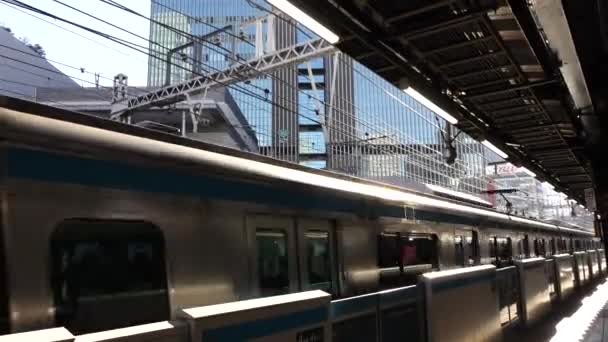 Листопада 2022 Року Сінкансен Перейшов Залізничну Колію Токіо Японія — стокове відео