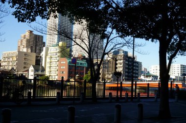 The walking path along the canal and the trees lining the park make for a beautiful view