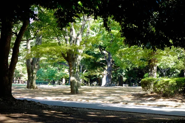 Reciente Tokyo Japón Área Metropolitana Parque Limpio Hermoso Paisaje —  Fotos de Stock
