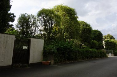 Doğanın bereketi, yeşilliğin bereketi güzel çiçekler ağaçlar otlar ve kuru otlar.