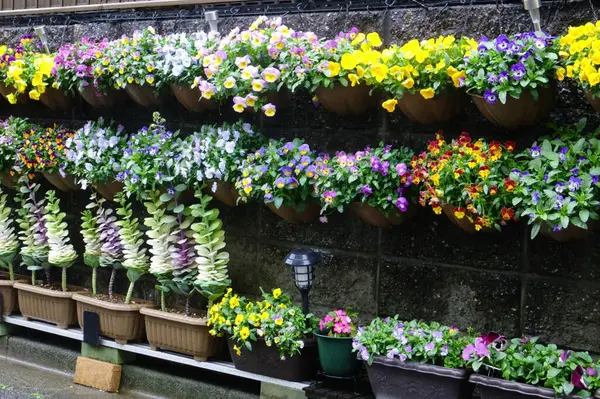 Colorful flower arrangement using a flower bed