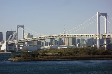 12 / 31 / 2019, Odaiba Sahil Parkı 'ndan görülen Gökkuşağı Köprüsü, Tokyo, Japonya                               