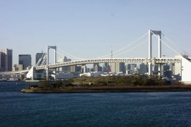 12 / 31 / 2019, Odaiba Sahil Parkı 'ndan görülen Gökkuşağı Köprüsü, Tokyo, Japonya                               