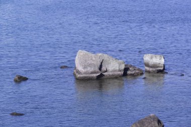 Tokyo Körfezi 'ndeki Odaiba Sahil Parkı kıyısındaki resif deseni.