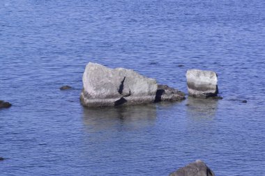 Tokyo Körfezi 'ndeki Odaiba Sahil Parkı kıyısındaki resif deseni.