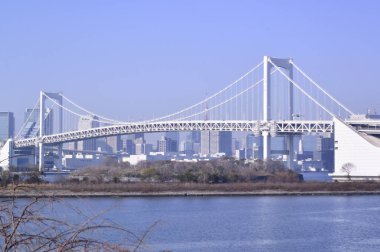 12 / 31 / 2019, Odaiba Sahil Parkı 'ndan görülen Gökkuşağı Köprüsü, Tokyo, Japonya
