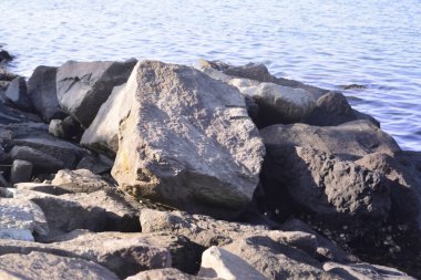 Tokyo Körfezi 'ndeki Odaiba Sahil Parkı kıyısındaki resif deseni.