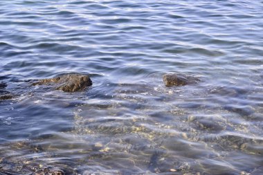 Tokyo Körfezi 'ndeki Odaiba Sahil Parkı kıyısındaki resif deseni.