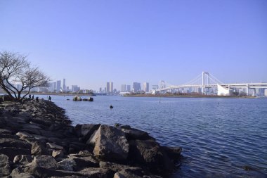 12 / 31 / 2019, Odaiba Sahil Parkı 'ndan görülen Gökkuşağı Köprüsü, Tokyo, Japonya