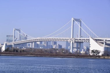 12 / 31 / 2019, Odaiba Sahil Parkı 'ndan görülen Gökkuşağı Köprüsü, Tokyo, Japonya