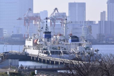 Ticari kargo gemisi Tokyo 'daki Odaiba Sahil Parkı Hatoba' da demirledi.