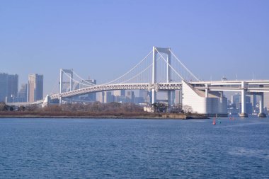 12 / 31 / 2019, Tokyo, Japonya. Gökkuşağı Köprüsü Tokyo Körfezi Odaiba Sahil Parkı 'ndan görünüyor.