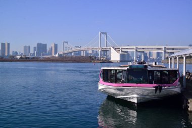 12 / 31 / 2019, Tokyo, Japonya. Tokyo Körfezi gezi gezisi, şık bir tekne.