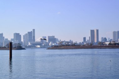 Sakin bir ifade, koydaki deniz suyu yüzeyi.