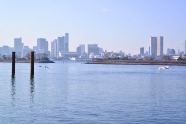 Sakin bir ifade, koydaki deniz suyu yüzeyi.