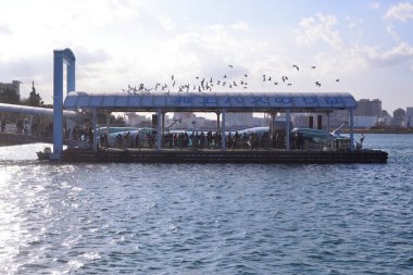 31 Aralık 2023, Tokyo Japonya, Odaiba Sahil Parkı gezi teknesi terminali.