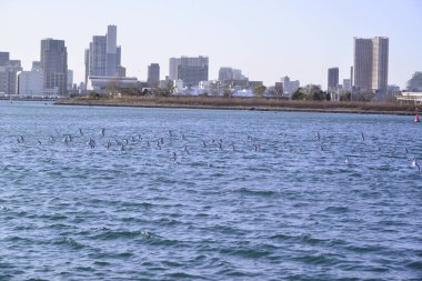 Sakin görünüş, deniz seviyesi koyda kıyıda.