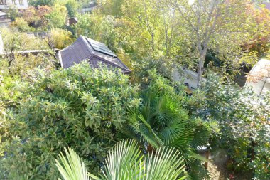  Basit bir otelin balkonundan sakin bir sabah manzarası.                              