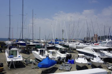 Ağustosta, Kanagawa 'daki Hayama Marina' da kavurucu sıcak altında,                             