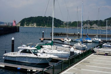 Ağustosta, Kanagawa 'daki Hayama Marina' da kavurucu sıcak altında,                             