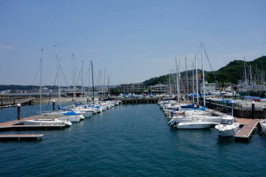  Ağustosta, Kanagawa 'daki Hayama Marina' da kavurucu sıcak altında,                           