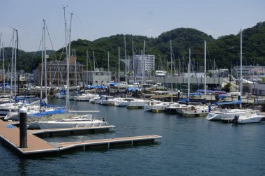  Ağustosta, Kanagawa 'daki Hayama Marina' da kavurucu sıcak altında,                           