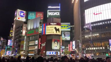 Tokyo, Japonya, Shibuya İstasyonu Scramble Geçidi, kalabalık ve gürültülü gece görüşü