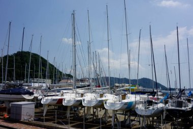    08 / 14 / 2020, Hayama Marina, Kanagawa Bölgesi, Japonya, Ağustos ayı ortasında marina sahnesi                            