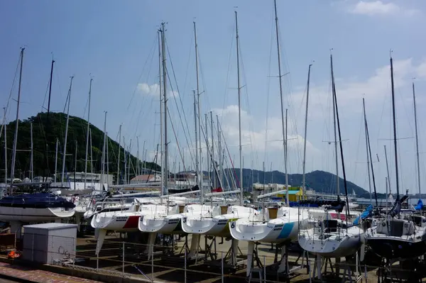    08 / 14 / 2020, Hayama Marina, Kanagawa Bölgesi, Japonya, Ağustos ayı ortasında marina sahnesi                            