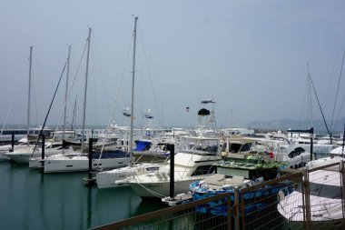    Hayama Kasabası, Kanagawa Bölgesi, Japonya, 8 Ağustos 2020: Hayama Marina Yat Limanı 'na demirlemiş tekne ve yatlar                            