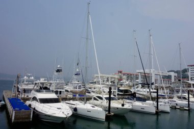    Hayama Kasabası, Kanagawa Bölgesi, Japonya, 8 Ağustos 2020: Hayama Marina Yat Limanı 'na demirlemiş tekne ve yatlar                            