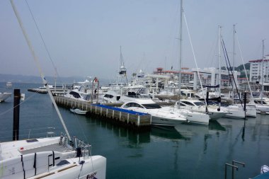 Zushi Şehri, Kanagawa Bölgesi, 8 Ağustos 2020: Zushi Marina 'ya demirlemiş yatlarla birlikte yaz ortası liman sahnesi                           