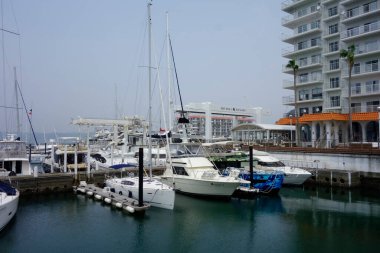 Zushi Şehri, Kanagawa Bölgesi, 8 Ağustos 2020: Zushi Marina 'ya demirlemiş yatlarla birlikte yaz ortası liman sahnesi                           