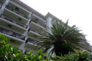  Zushi Şehri, Kanagawa Bölgesi, Japonya, 8 Ağustos 2020: Zushi Marinari 'ye bağlı bir tesis.                              