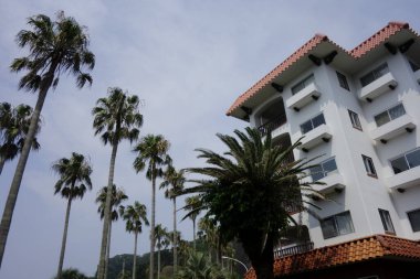  Zushi Şehri, Kanagawa Bölgesi, Japonya, 8 Ağustos 2020: Zushi Marinari 'ye bağlı bir tesis.                              