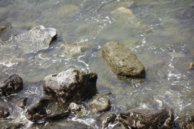 Yaz ortası Shonan, Kamakura, Zushi, Zaimokuza Sahili, kıyı manzarası                            