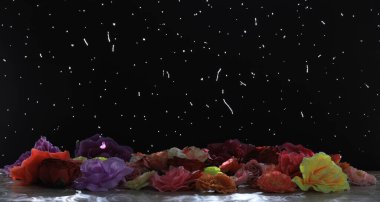 artificial flower buds on black background