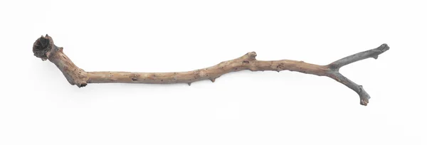 broken stick snag isolated on white background