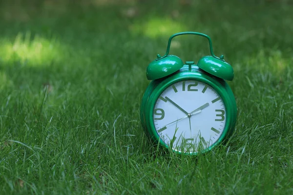 Çimenlikteki Yeşil Çalar Saat — Stok fotoğraf