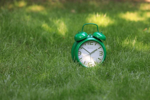 Çimenlikteki Yeşil Çalar Saat — Stok fotoğraf