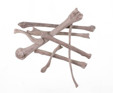 human bones isolated on white background