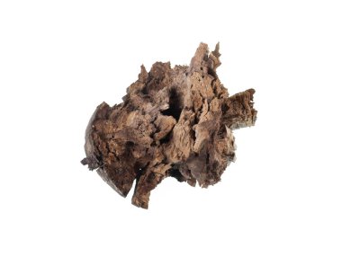 Kahverengi çürük tahta parçası beyaz arkaplanda izole edilmiş.