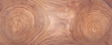 wooden background with cross section and annual rings