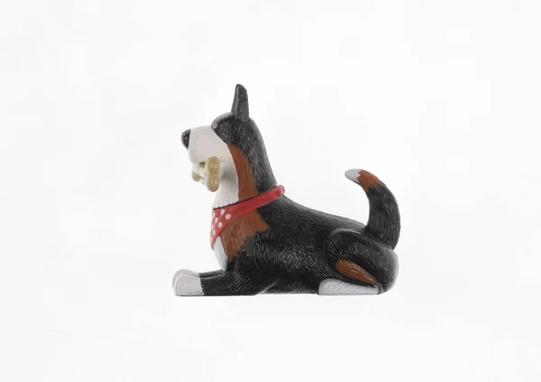 plastic dog toy with bone isolated on white background