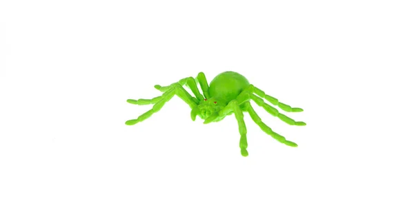 白い背景に隔離された緑のプラスチックのクモ — ストック写真