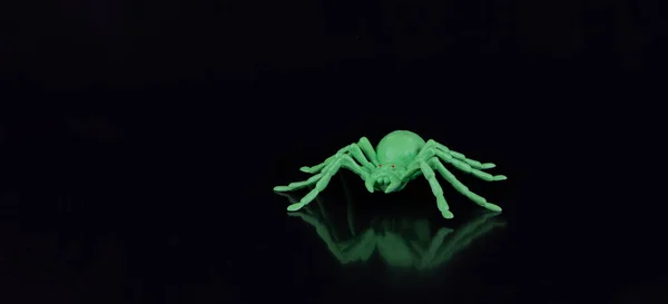 Зелений Павук Хеллоуїна Чорному Фоні — стокове фото