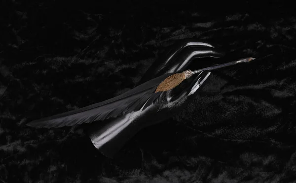 Vintage Black Quill Pen Black Velvet — Stock Photo, Image